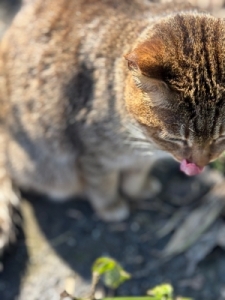 出戻りも大歓迎ですのアイキャッチ画像