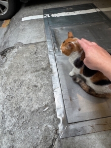 稼げる女の子が共通して行っていることはありますか？のアイキャッチ画像