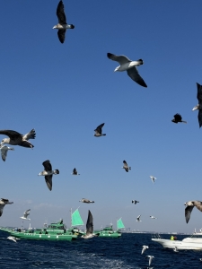 釣りのアイキャッチ画像