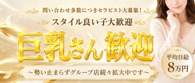 ylissia group ~イリシアグループ~のぽっちゃり求人画像