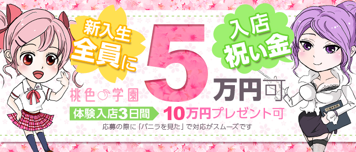 桃色学園 山形店の求人画像