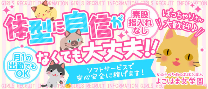 よこはま女学園のぽっちゃり求人画像