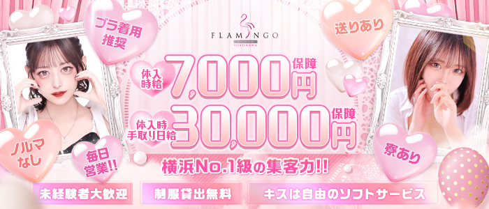 横浜フラミンゴの求人画像