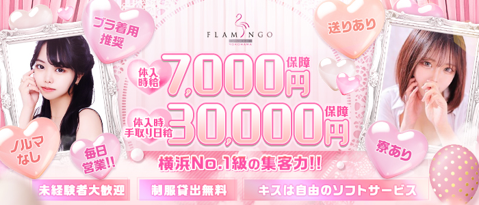 横浜フラミンゴ