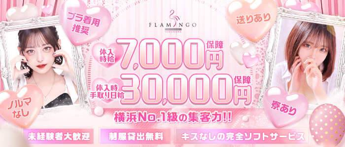 横浜フラミンゴの体験入店求人画像