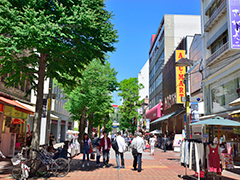 プレジャーの宿泊施設画像2