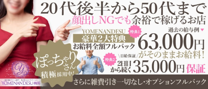 YOMENANDESU梅田のぽっちゃり求人画像