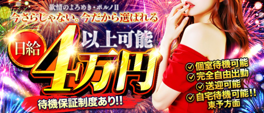 欲情のよろめき・ポルノⅡ