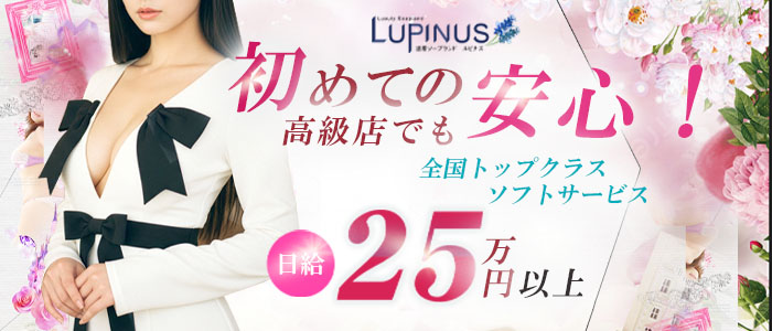 ルピナス（ルピナスグループ）