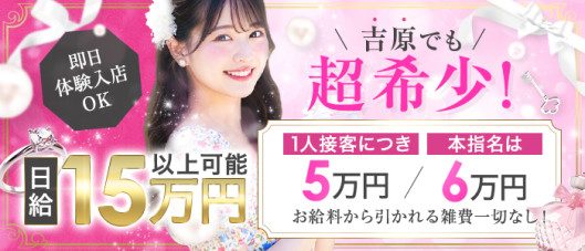 ルピナス(ルピナスグループ)