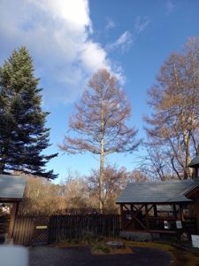 葉がない。のアイキャッチ画像