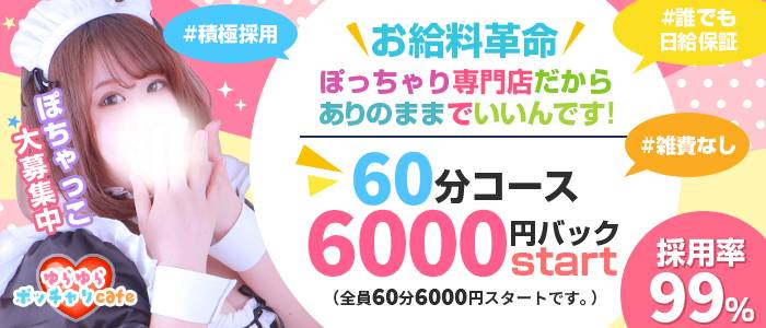 ゆらゆらポッチャリcafeの求人画像