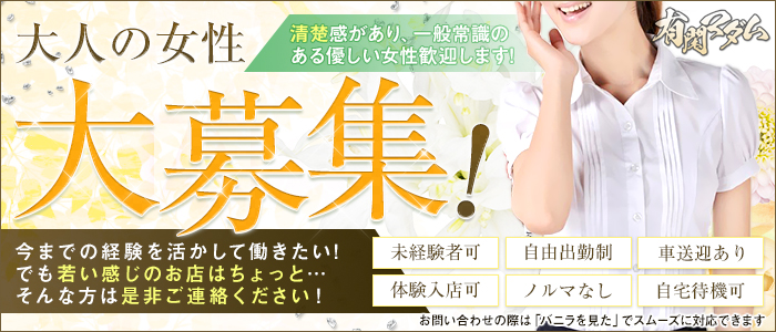 有閑マダムの求人画像