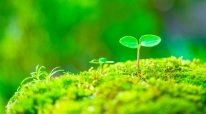 未経験の女性からよくある質問のアイキャッチ画像