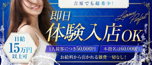 ルピナスパルフェ(ルピナスグループ)