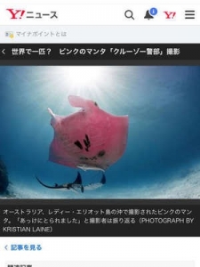 世界で1匹？！ピンクマンタ('&omega;')ノのアイキャッチ画像