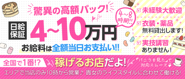 ゼロワンのぽっちゃり求人画像