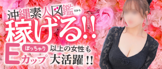 沖縄素人図鑑の求人情報